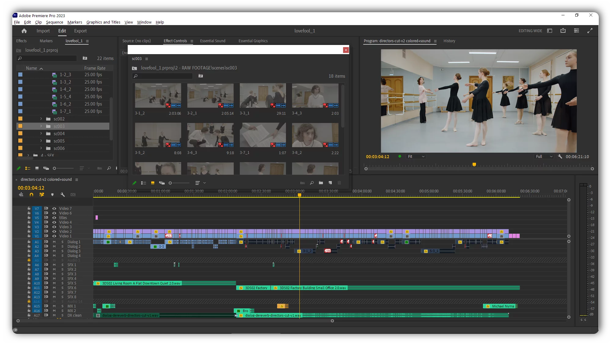 lovefool project final timeline adobe premiere