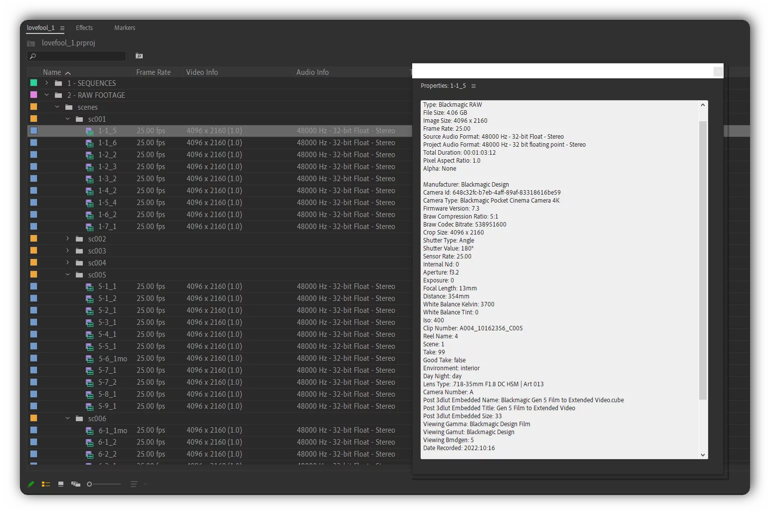 lovefool raw footage properties in adobe premiere